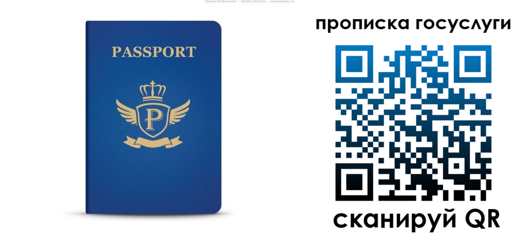 прописка для школы в Яхроме